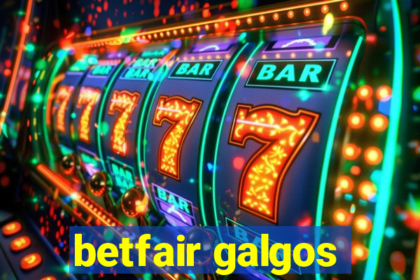 betfair galgos